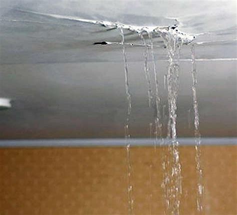 Leaky roof. Things To Know About Leaky roof. 